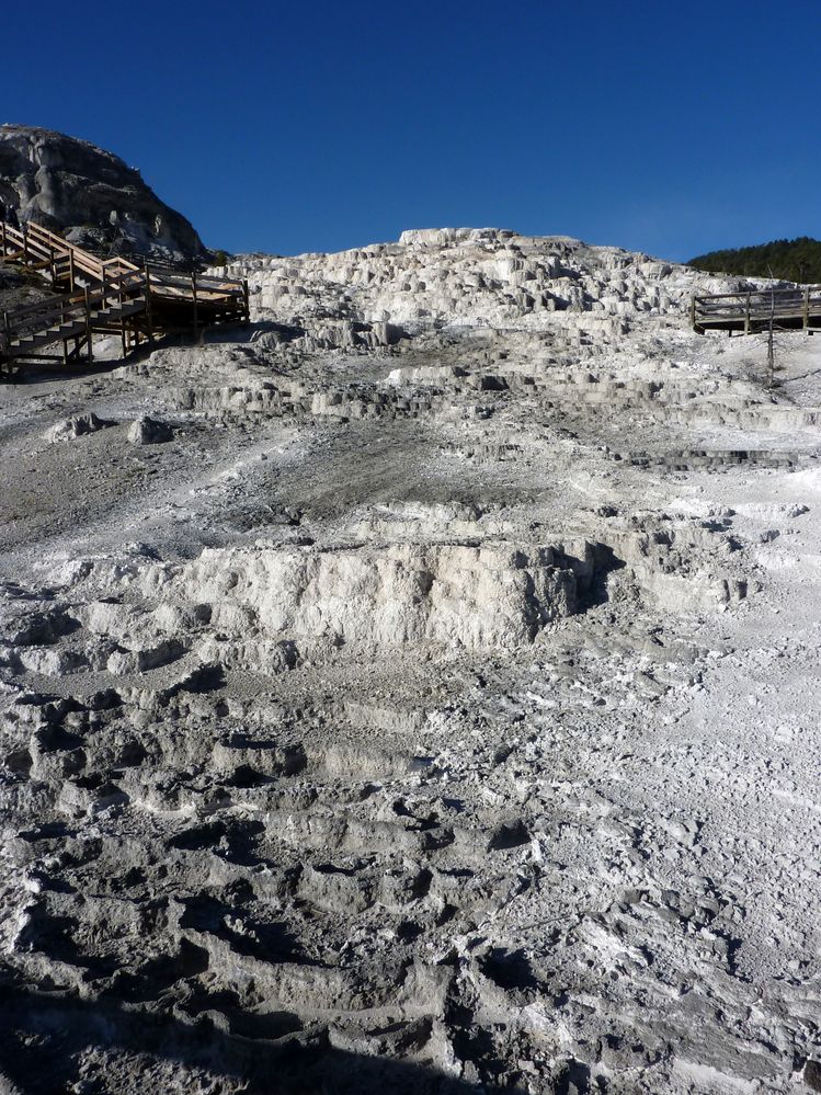 Yellowstone Mammoth Hotsprings Minerva terrace (4).JPG